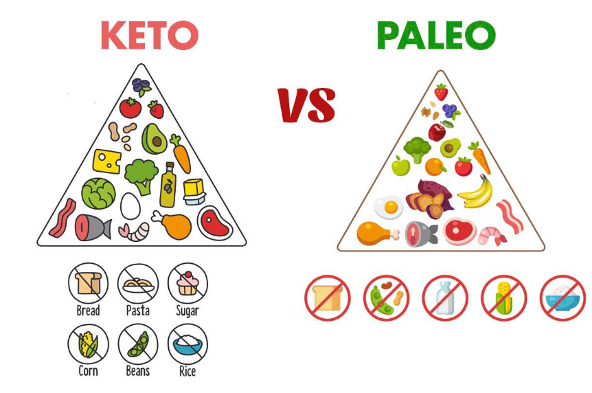 The Differences Between the Keto and Paleo Diets